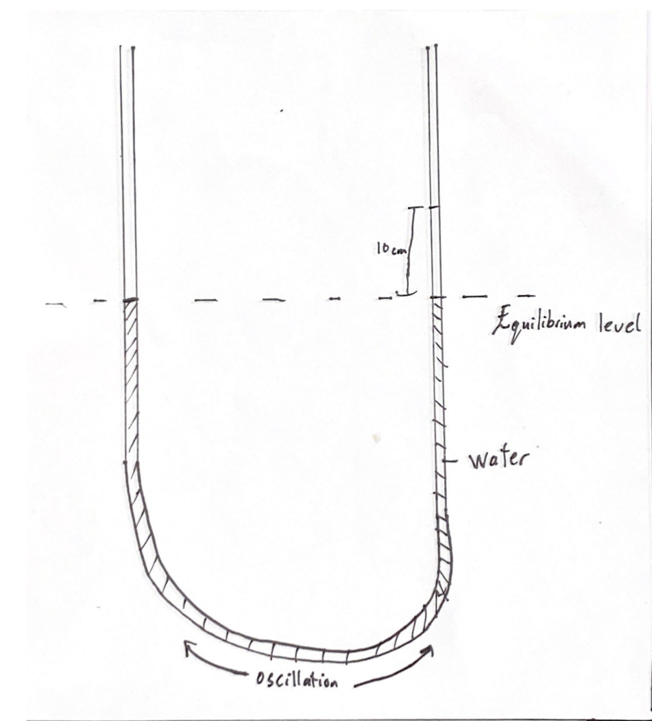 Cils Extentions test